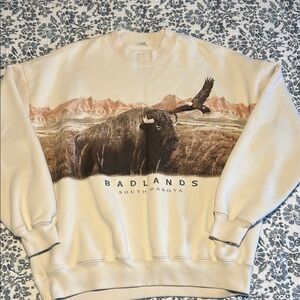 Abercrombie & Fitch sweatshirt